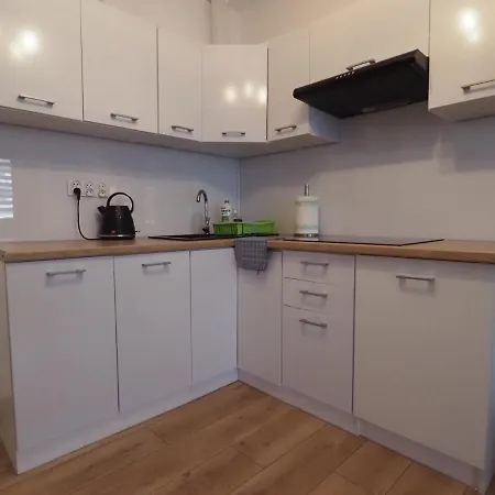 公寓 Apartament Puck *